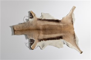 Image description is not available for 2004.1.3